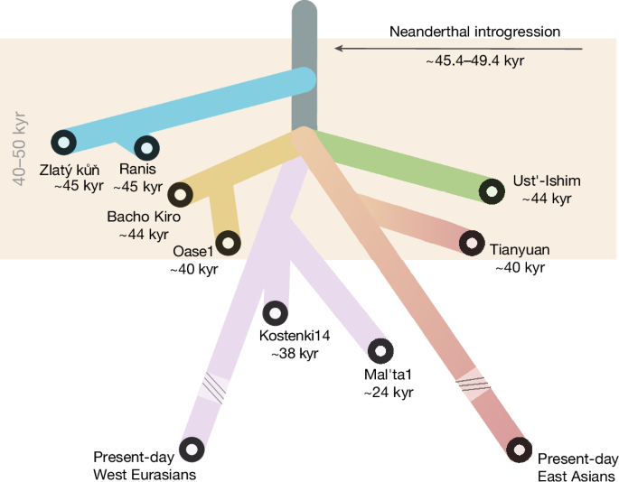 Fig. 4: Tree summarizing the main points of the study.
