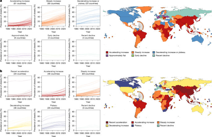 Fig. 4: Phenotypes of national obesity trajectories in adults.