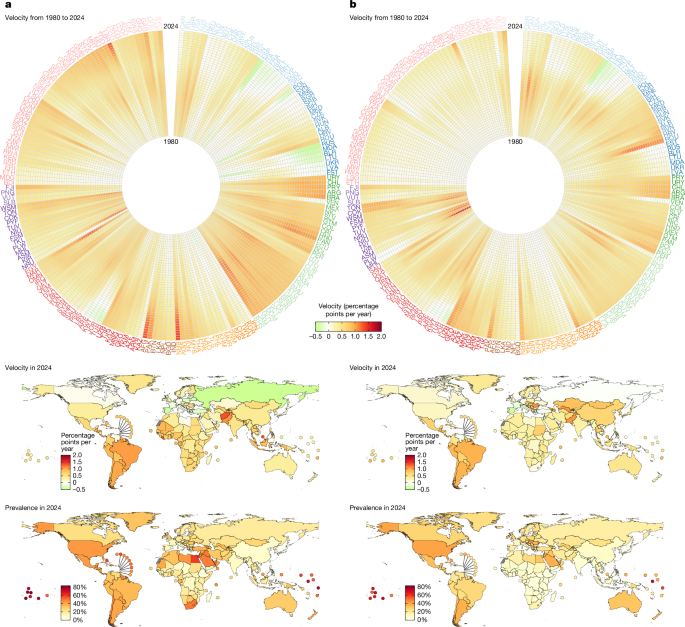 Fig. 5: Velocity and prevalence of obesity in adults.
