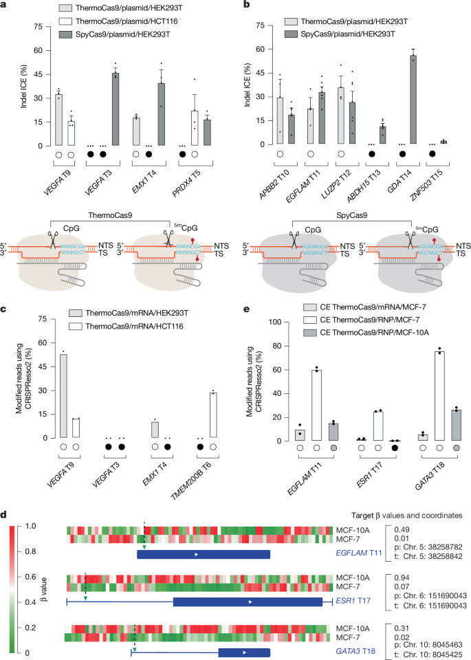 Fig. 5: Genome-editing results.