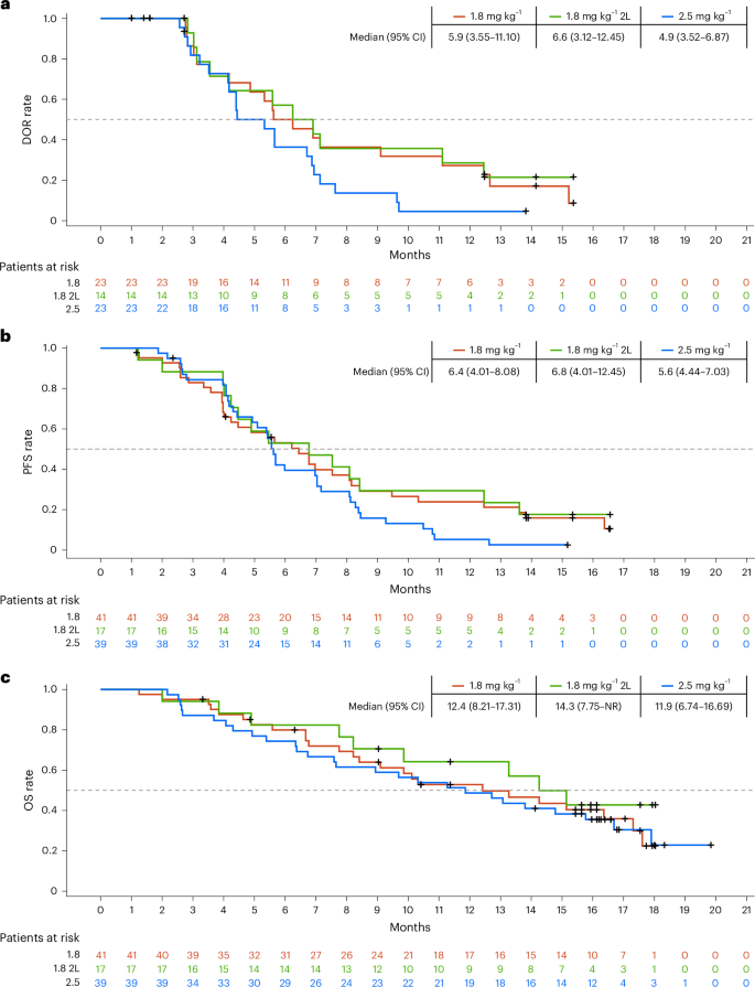 Fig. 3: Efficacy among patients with R/R SCLC.