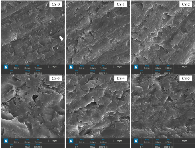 Fig. 10