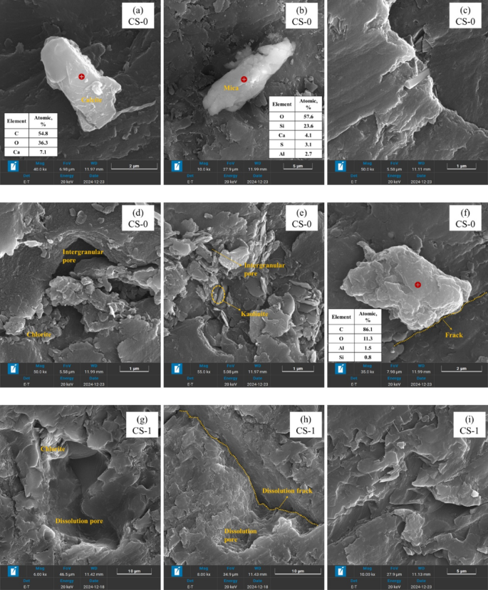 Fig. 11
