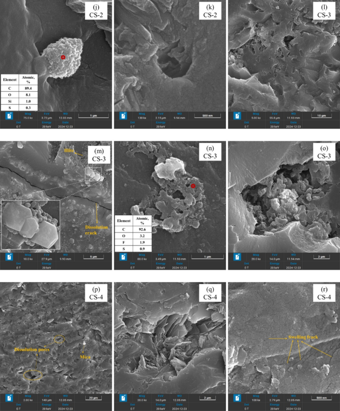 Fig. 11