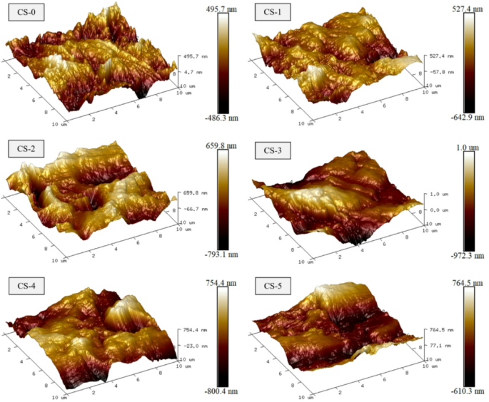 Fig. 12