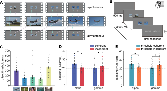 Fig. 1: A rhythmic signature of phenomenological coherence.