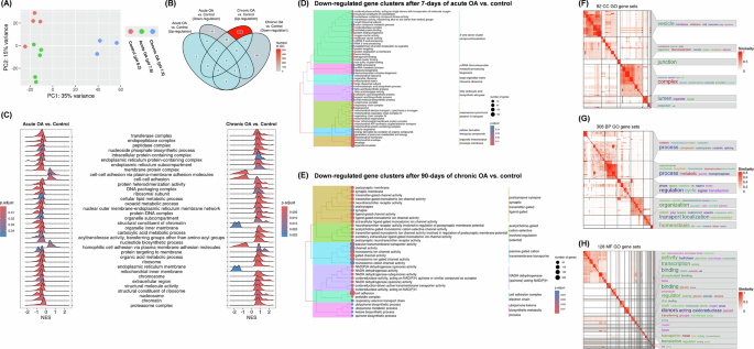 Fig. 4: Transcriptomic analysis of optic lobes reveals distinct responses to acute and chronic acidification.