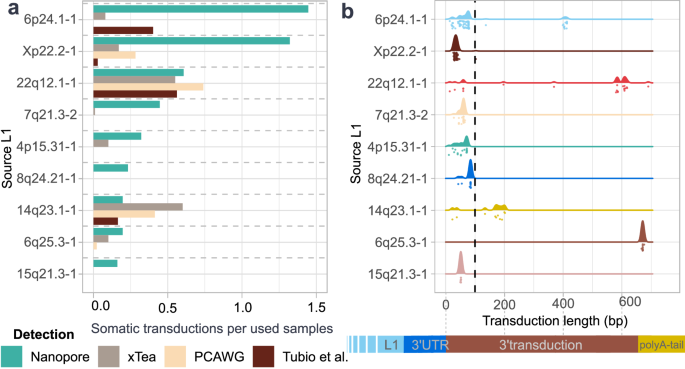 Fig. 2: Comparison to prior detection with transduction length.