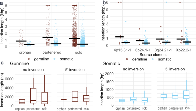 Fig. 3: Insertion lengths between insertion classes, tissue types and 5´ inversion status.