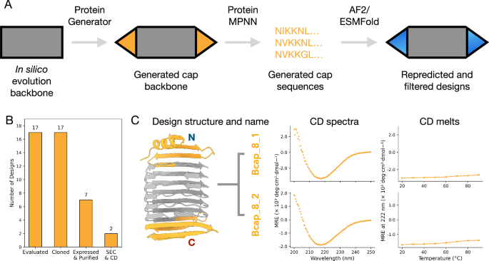 Fig. 5: Design and experimental characterisation of capped β-solenoids.