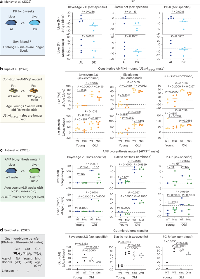 Fig. 6: Tissue-specific transcriptomic aging clocks can predict age in published intervention datasets.