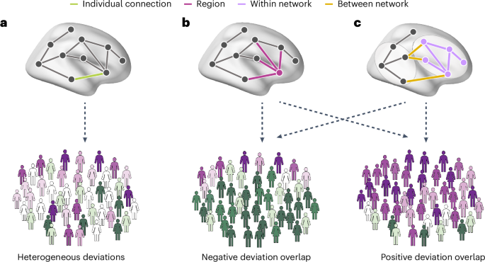 Fig. 1: Multiscale heterogeneity of FC deviations in autism.