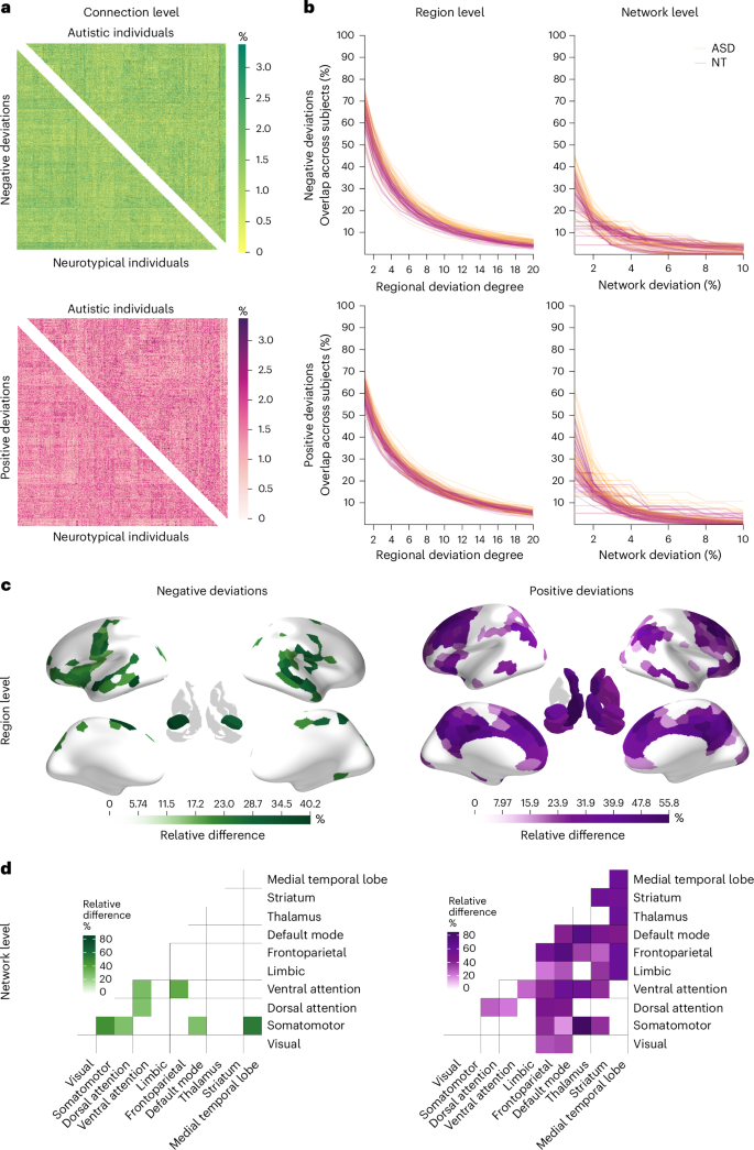 Fig. 3: Group differences in deviation overlap at connection, region and network levels.