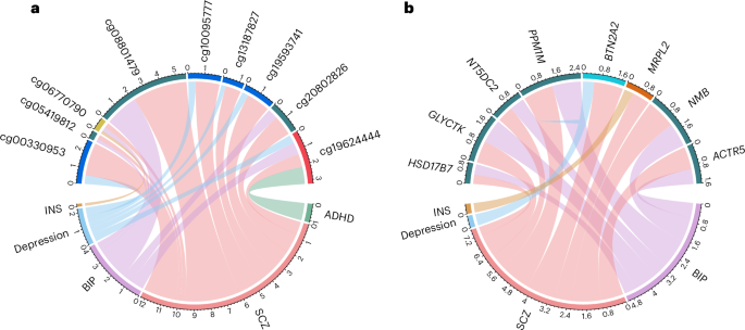 Fig. 3: Causal CpGs and causal genes shared by major neuropsychiatric disorders.