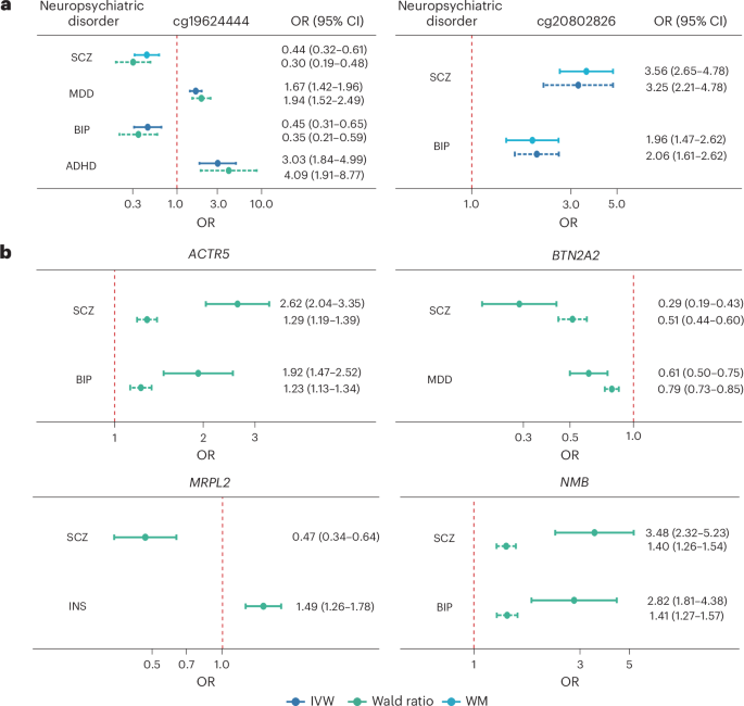 Fig. 4: Causal CpGs and causal genes shared between multiple neuropsychiatric disorders.