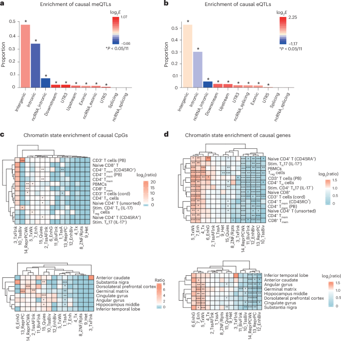 Fig. 5: Functional characterization of identified causal CpGs and genes.