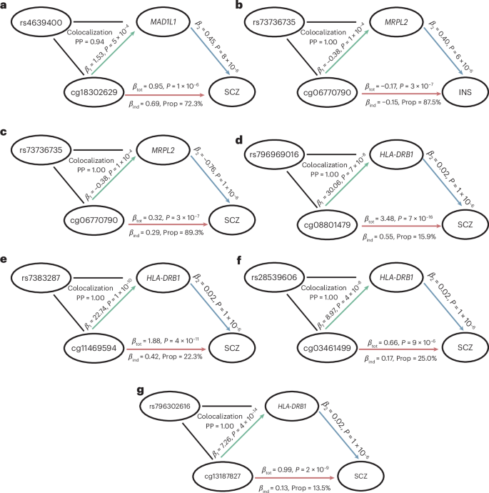 Fig. 6: Multi-omics-integrated regulatory pathways for selected neuropsychiatric disorders.
