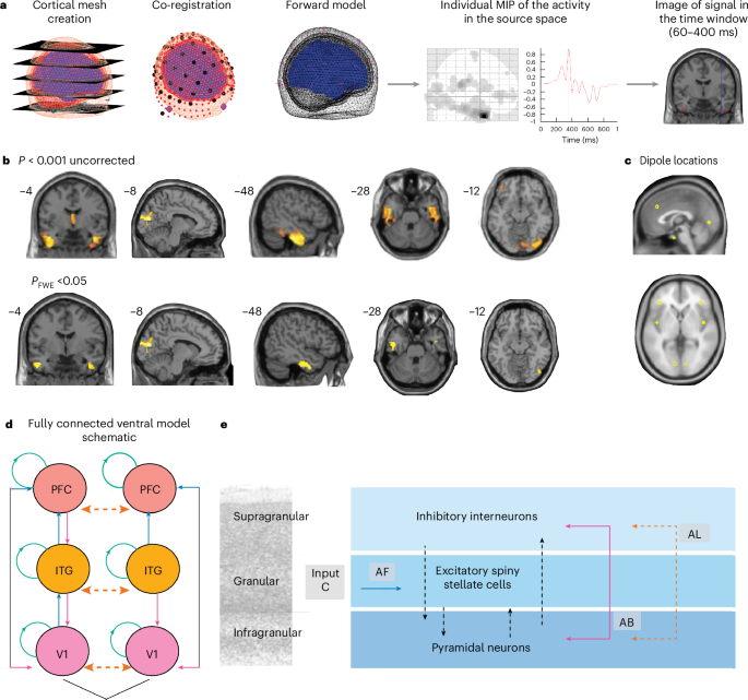 Fig. 2: Source reconstruction methods, results and ventral model specification.