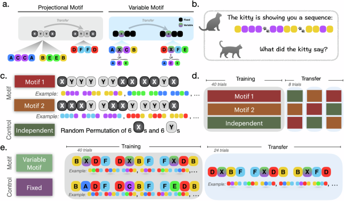 Fig. 1: Taxonomy of motifs and experimental design.