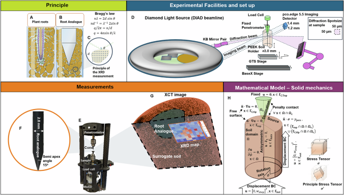Fig. 1: Methods, experimental setup, and mathematical model.