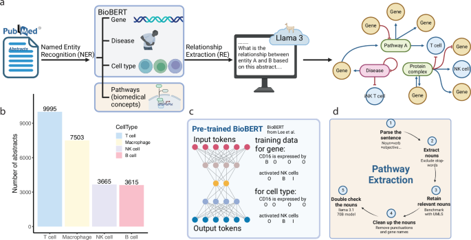 Fig. 1: Schematic for immune cell knowledge graph construction.