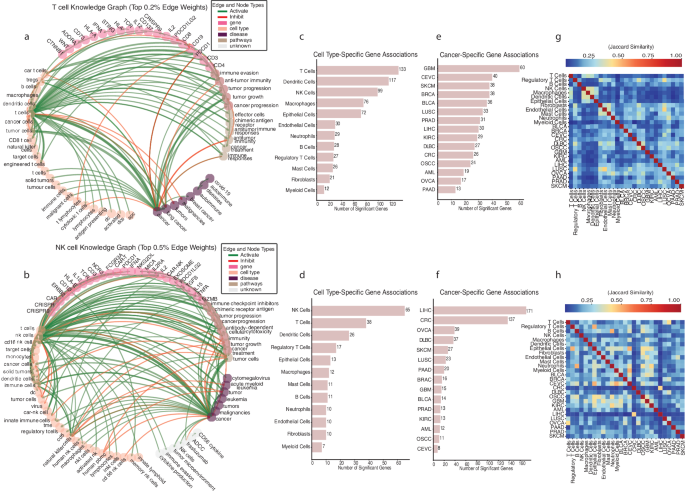Fig. 2: Overview of the cell type specific knowledge graph.