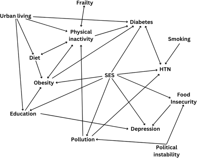 Fig. 3: The complex interactions between dementia risk factors in the region.