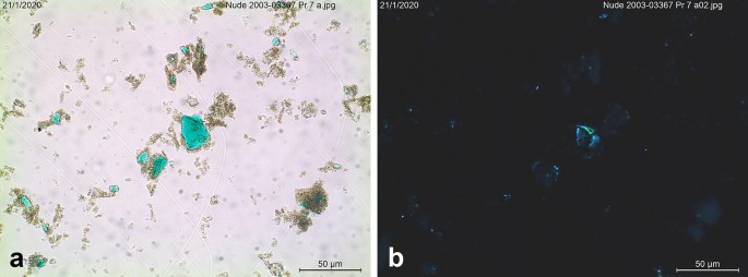 Fig. 21