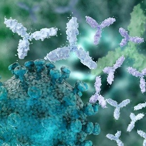 Infection and Immunity
