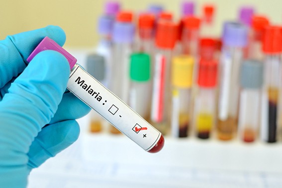malaria treatment © jarun011 / stock.adobe.com