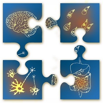 Microbiota-gut-brain jigsaw