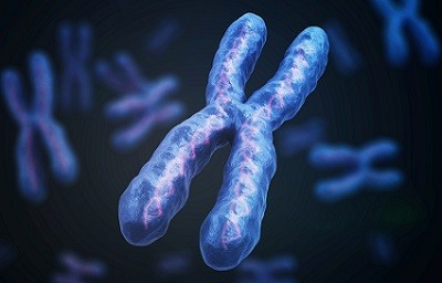 RED chromosome picture