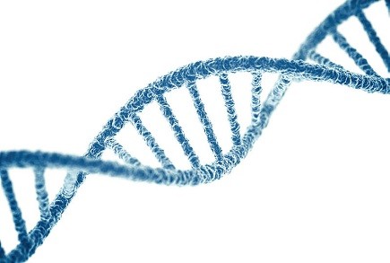 Genetic resources and germplasm collections