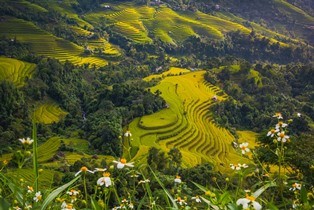 DangThachHoang © DangThachHoang - Pixabay