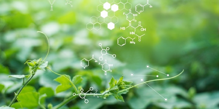 Mass Spectrometry for Plant Applications / Image: © ipopba / Getty Images / iStock