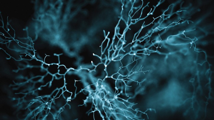 Neuron cell system shown in blue