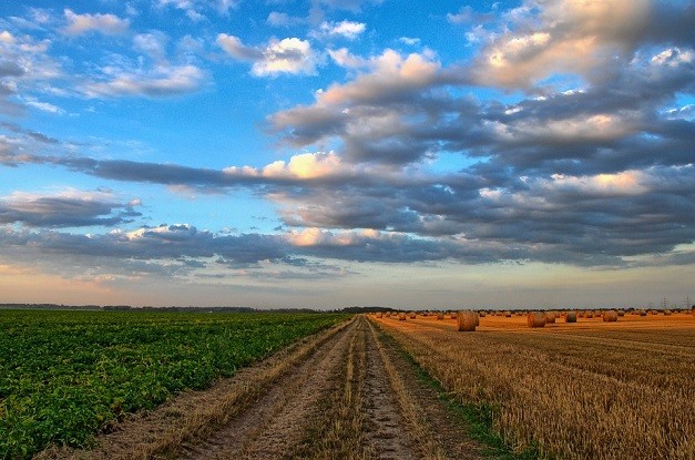 Regenerative Agriculture