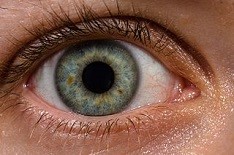 Eye © ROTFLOLEB (CC BY-SA 3.0)/ https://commons.wikimedia.org/wiki/File:Human_eye_with_blood_vessels.jpg © © ROTFLOLEB (CC BY-SA 3.0)/ https://commons.wikimedia.org/wiki/File:Human_eye_with_blood_vessels.jpg