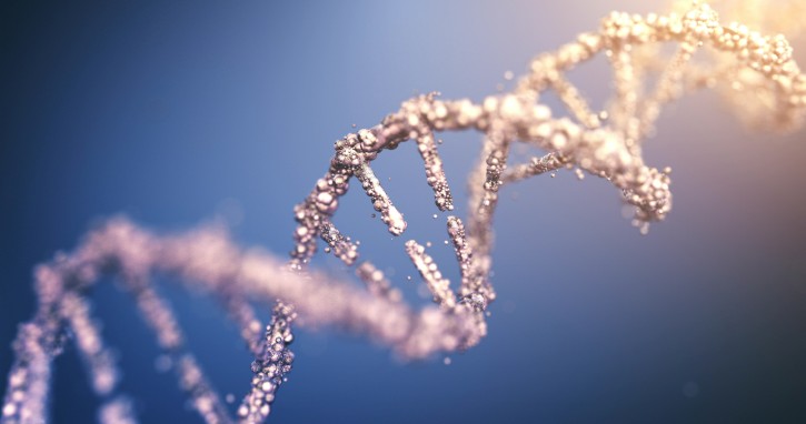 Gene Therapy and Nucleic Acid Applications