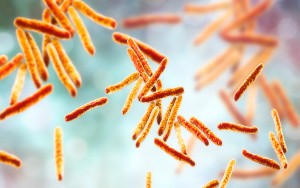 Mycobacterium tuberculosis, 3D illustration
