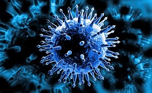 close up image of a t cell