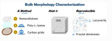 graphical abstract