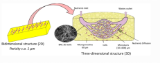 graphical abstract