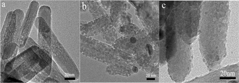 Micrograph of the Month 2 December 2020