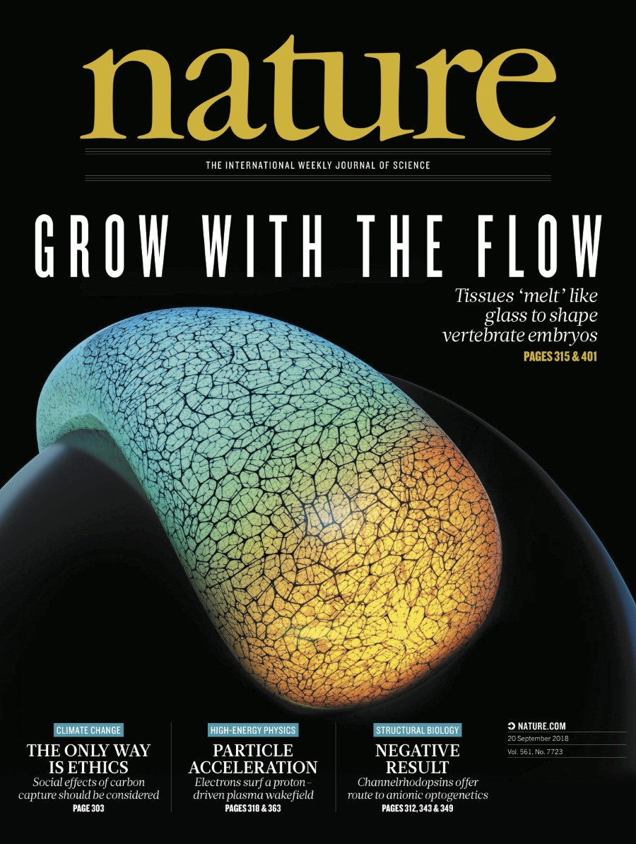 Research, news and analysis from this week's edition of the world's leading science journal.