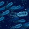 Gut Pathogens celebrates its 10th anniversary