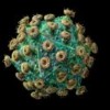 Natural Killer cells as key regulators of broadly neutralizing antibody responses during HIV-1 infection