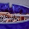 2019 Edition: World Lung Cancer Day Quiz