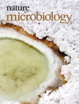 Volume 2 Issue 8