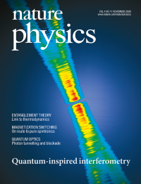 Nature physics journal image